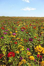 美女动作游戏《星刃》新截图 油腻师姐的诱惑！